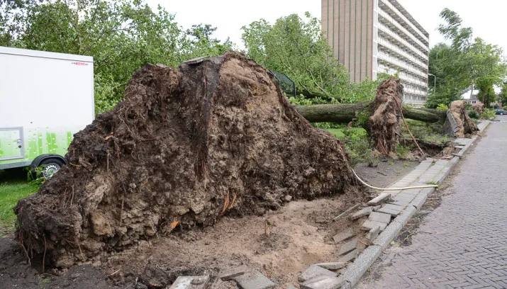 20150725 debora 8 715x408