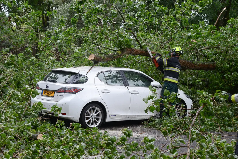 20150725 dumontstraat 6