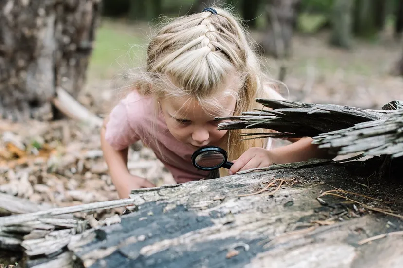 20210109 persbericht nme leer van alles over archeologie bij de smaeckkamer in beverwijk