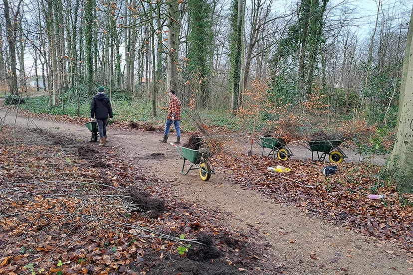 20230106 142149 oogstdag in beverwijk plan boom