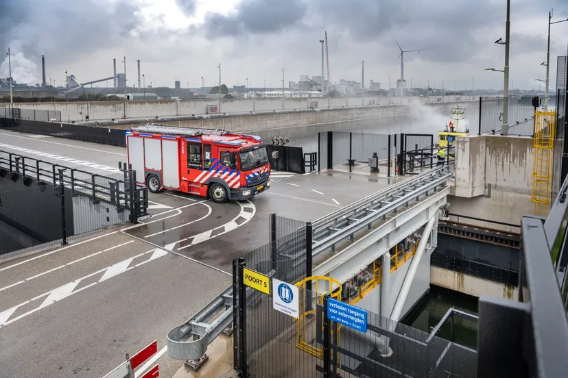 253346003 195323636108340 3788743494267637566 n 1