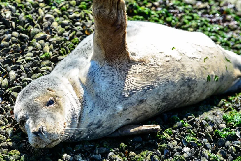 30725198 1600323643400229 7883453583234957312 o