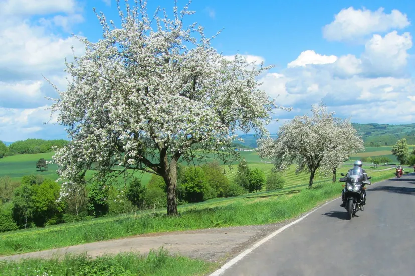 32130616 1964767203557018 583875991865131008 o