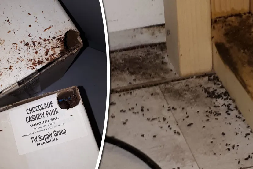 374042w1600r16 94725d83q90