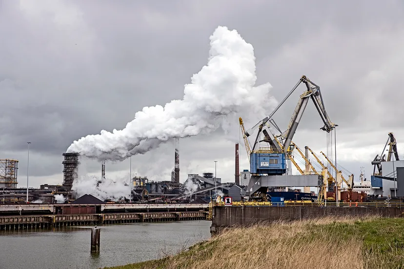 3z1a0250 tata wim meijer fotografie