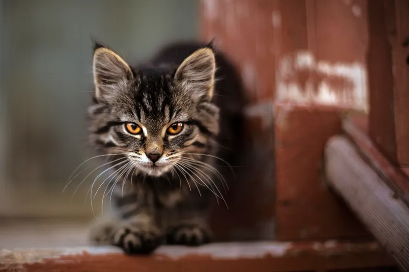 42 north oe7h8zp1mw8 unsplash