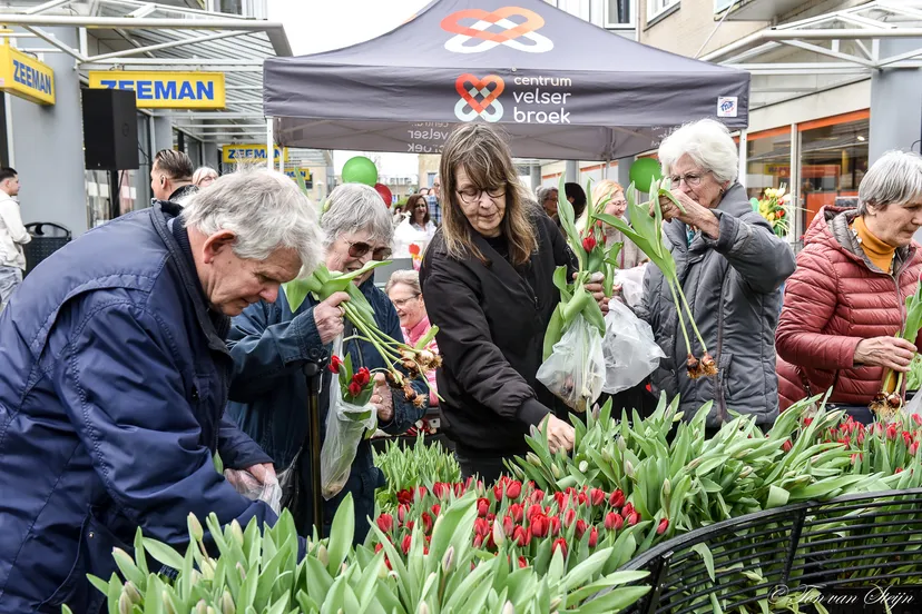 433938805 7254206828011854 7205470195720720711 n