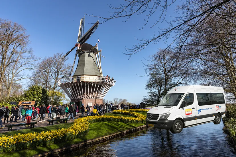 494a2177 kopieren 2 plusbus wim meijer fotografie