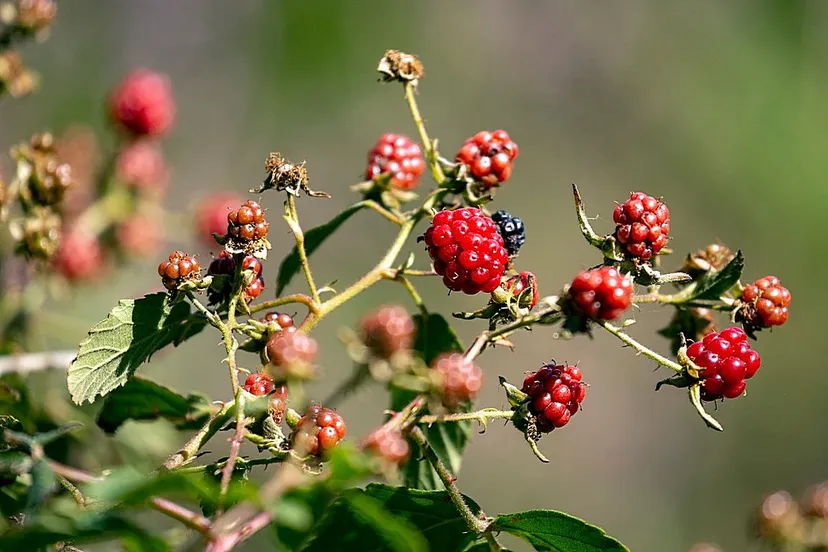 5i5a0789 wim meijer fotografie