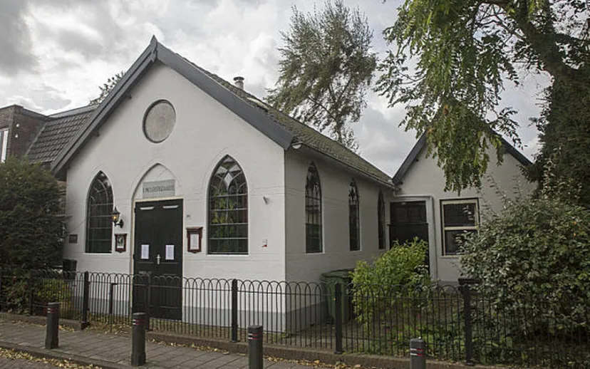 5i5a5602 mosterdzaadje 715x408 915x518