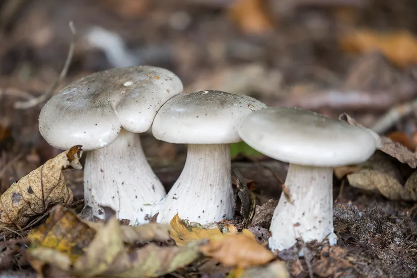 5i5a5614 wim meijer fotografie