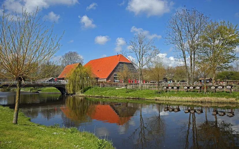 5i5a6955 915x518 1 915x518 1