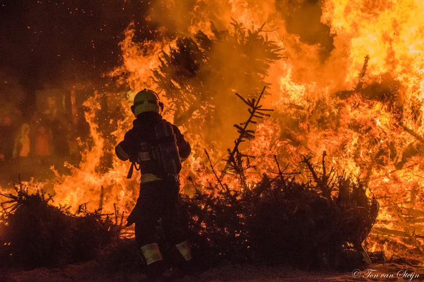 82344932 2595030073929576 2168082908152070144 o