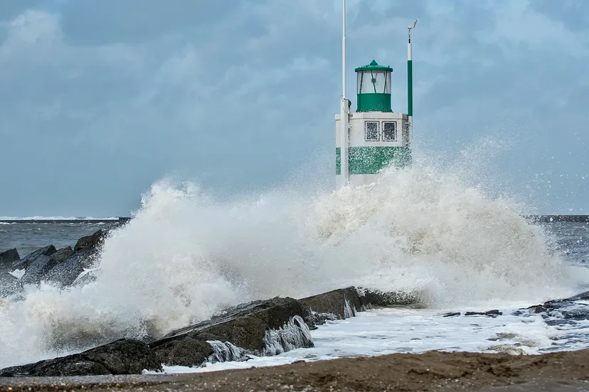 84647554 2661981887234394 6288059711661015040 o