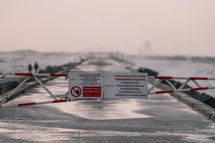 86271696 184788819533144 3054682484395474944 o