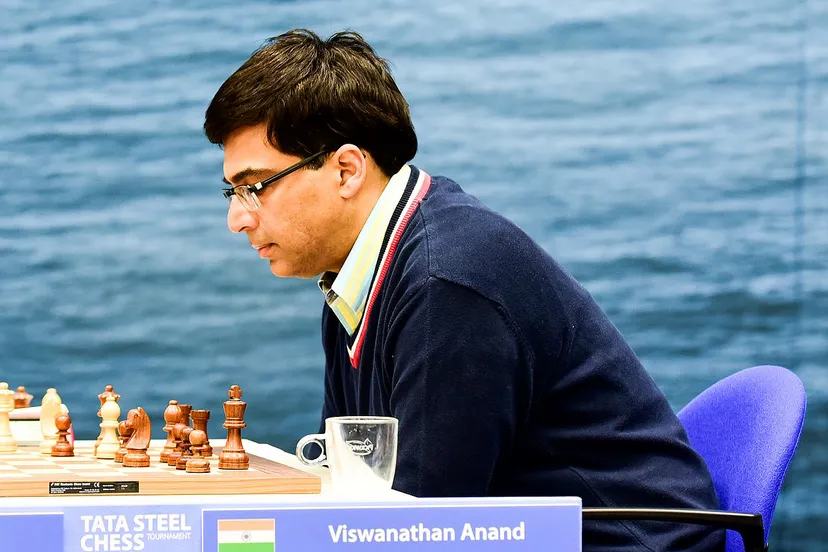 anand ton van steijn