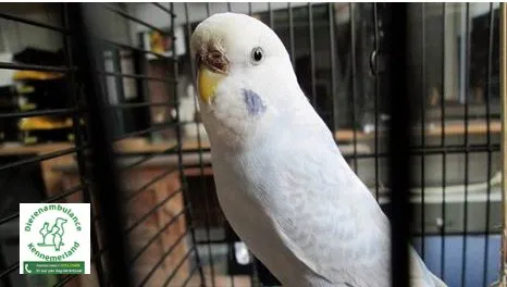 au2jltlazsoafyg4ohsn6lq83 2014 12 0813 54 36