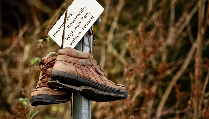 avondvierdaagse banner