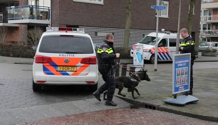 banner as 201602261125281