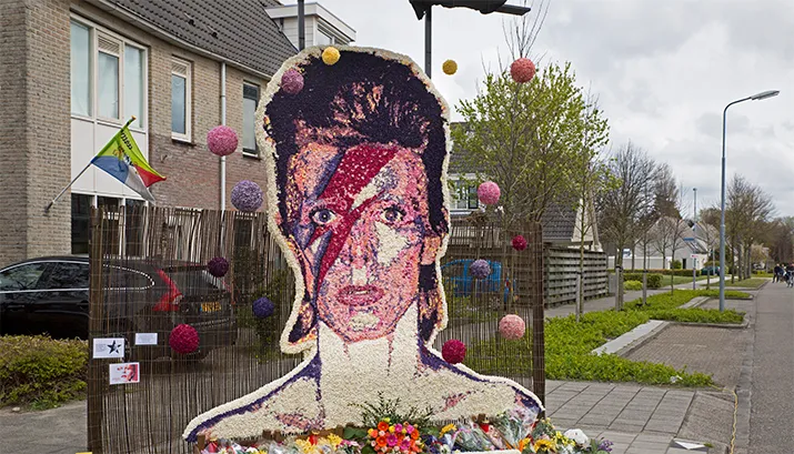 banner bowie
