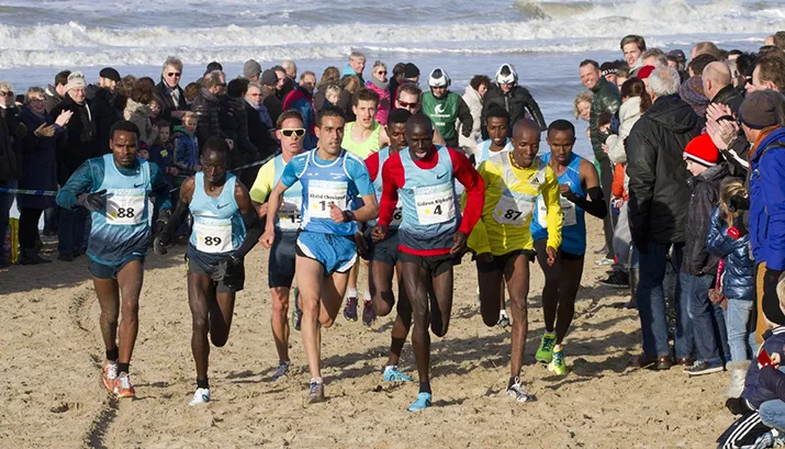 banner marathon 2013