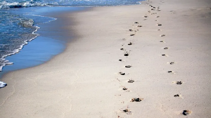 beach sea coast water sand ocean 761983 pxherecom