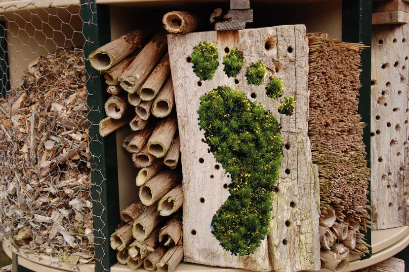 bijenhotel voetafdruk pixabay