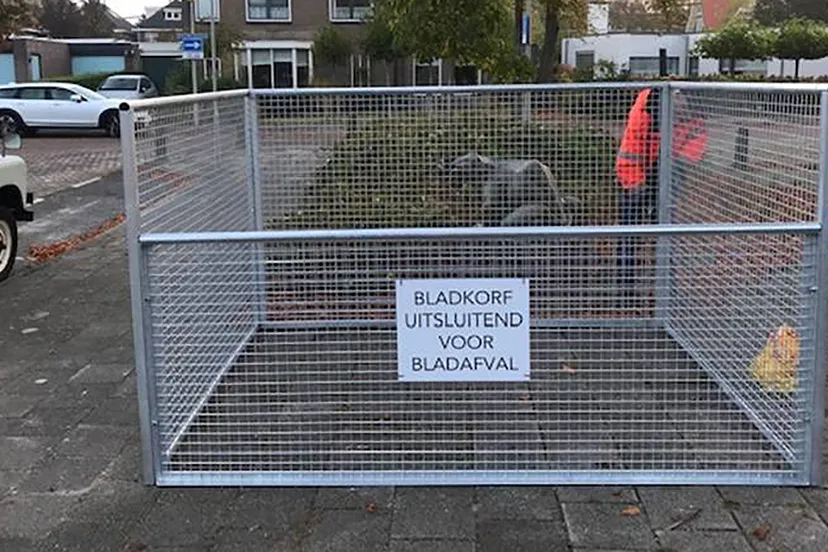 bladkorf gemeente beverwijk