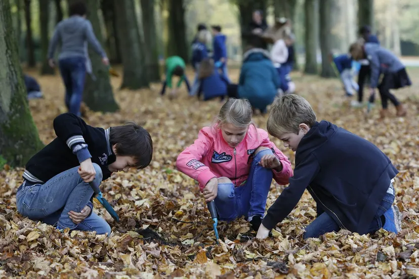 bollen planten beeckestijn 5 natuurmonumenten small
