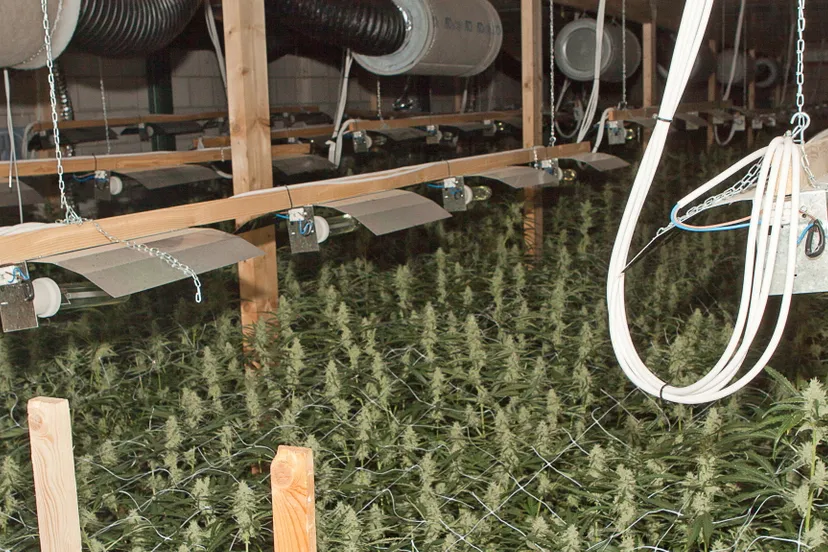 brjl5jj4tzbi48yjfrz85vcz5 hennepkwekerij