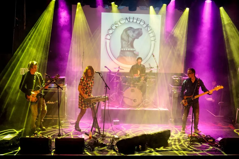 buk week4 dogs called kitty