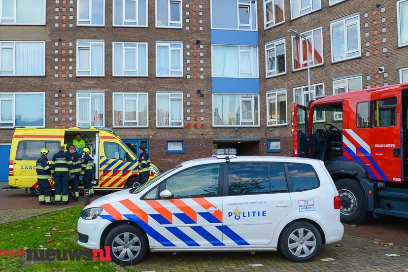 by7fufsqrbyd487srzgr1h51q 2014 11 1017 48 24