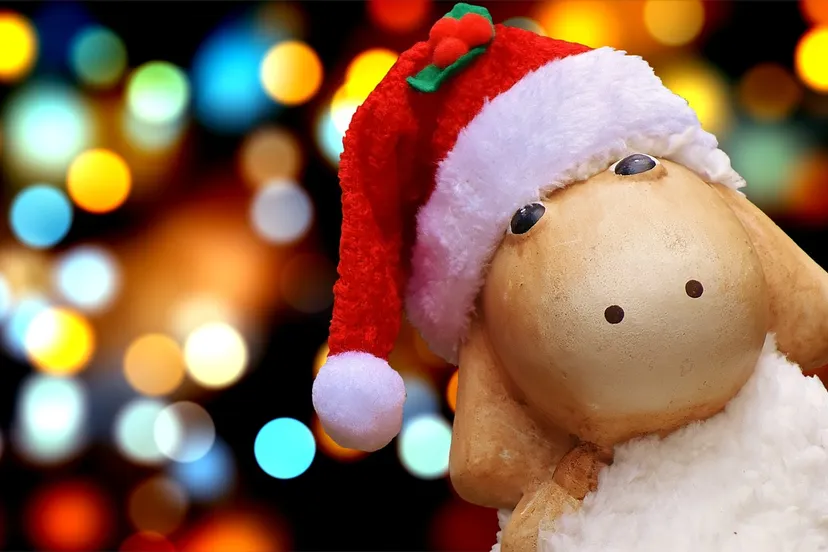 christmas 1912556 1280