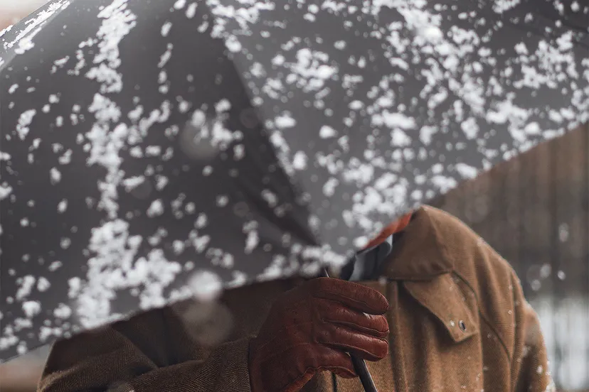 craig whitehead zrnip12mci8 unsplash