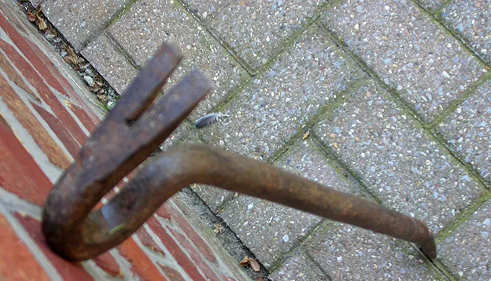 detailvoetkoevoet banner