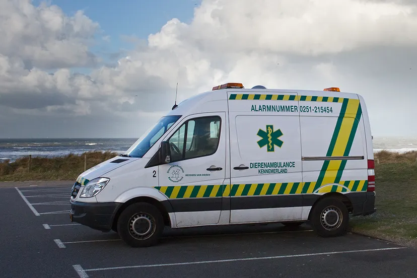 dierenambulance