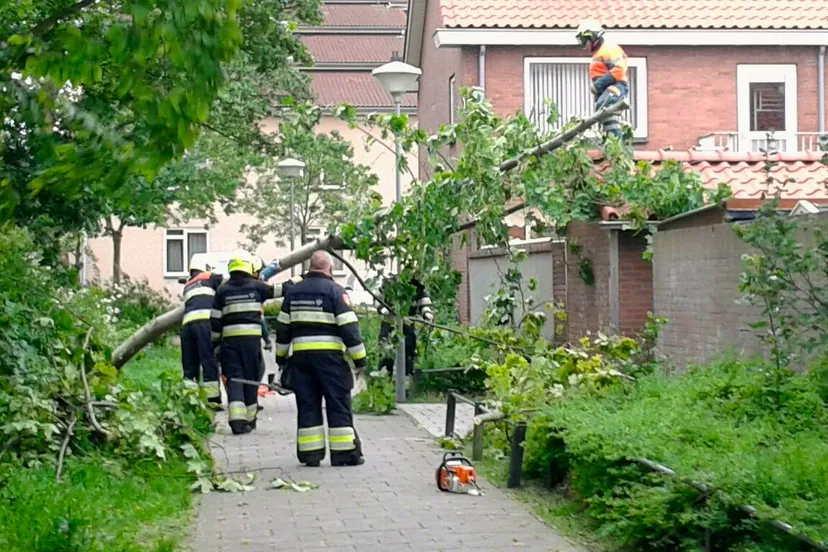 f1eafba6d3d9beb09814e9a5d737501d 2