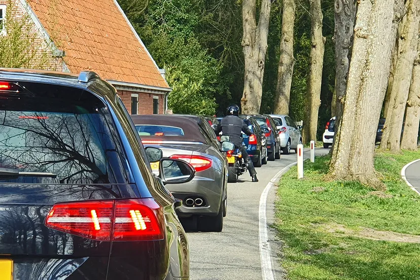 file elswoud