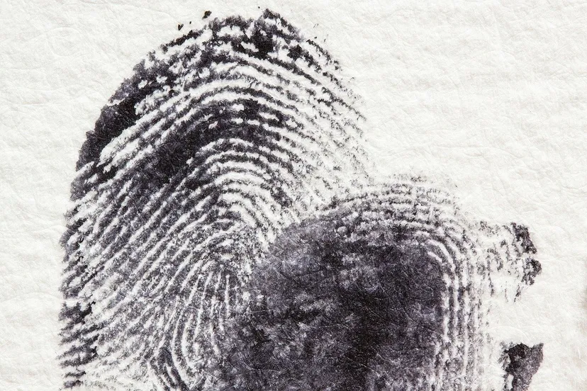 fingerprint 255904 1280