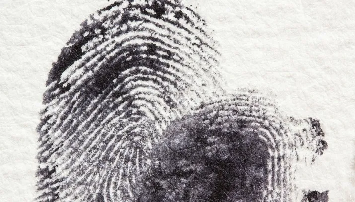 fingerprint 255904 1280 715x408