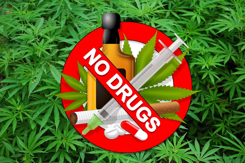 foliage 1157792 1920 drugs pixabay