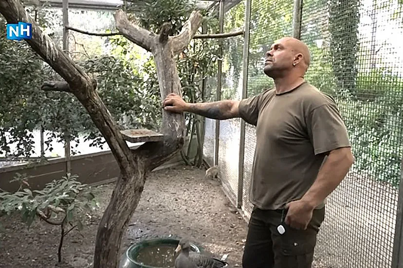 foto nh nieuws voliere