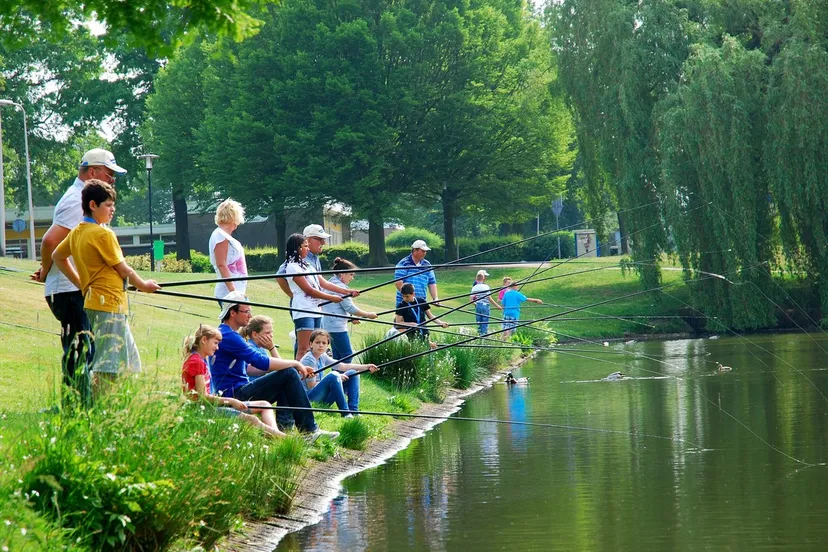 foto persbericht visles 4