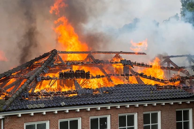 ga6myi8ciyd2js6dqp5j1hzgd zeer grote brand bij de bos en duinschool in bloemendaal