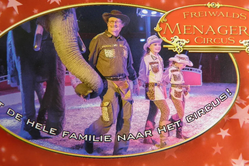 gnf0tz0g15vxn2h0erftd8f9a p8164384