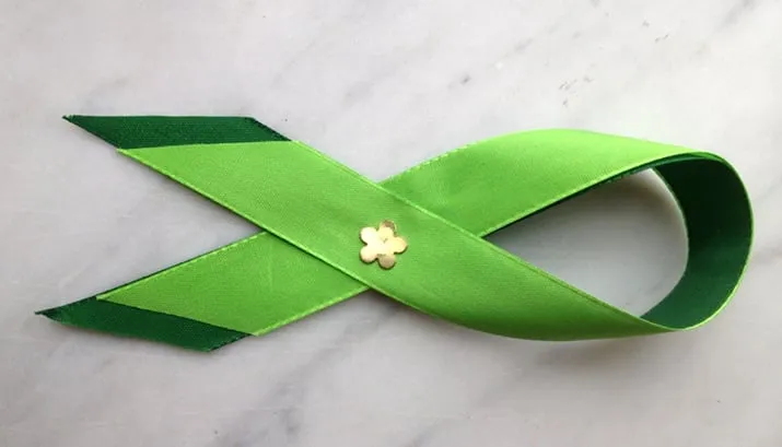 groene lintjes groenlinks