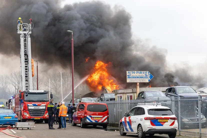 grote brand update1