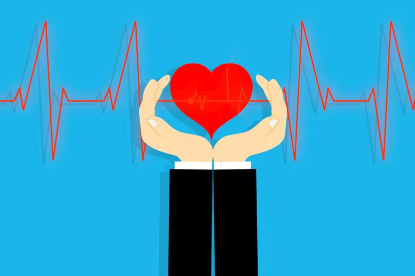 heart health protection medicine hand doctor 1576251 pxherecom