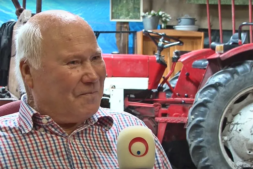 ijmond nieuws boerderij