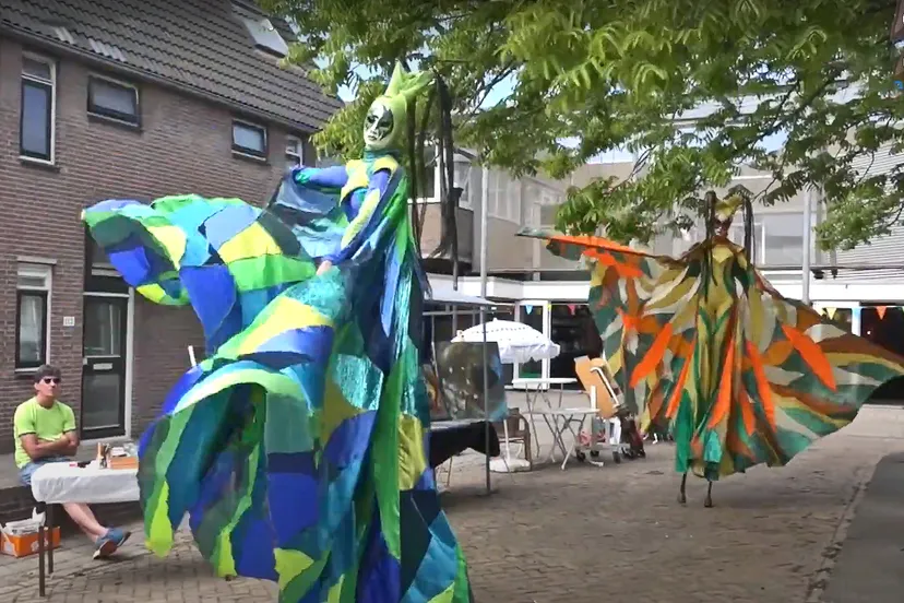 ijmond nieuws festival